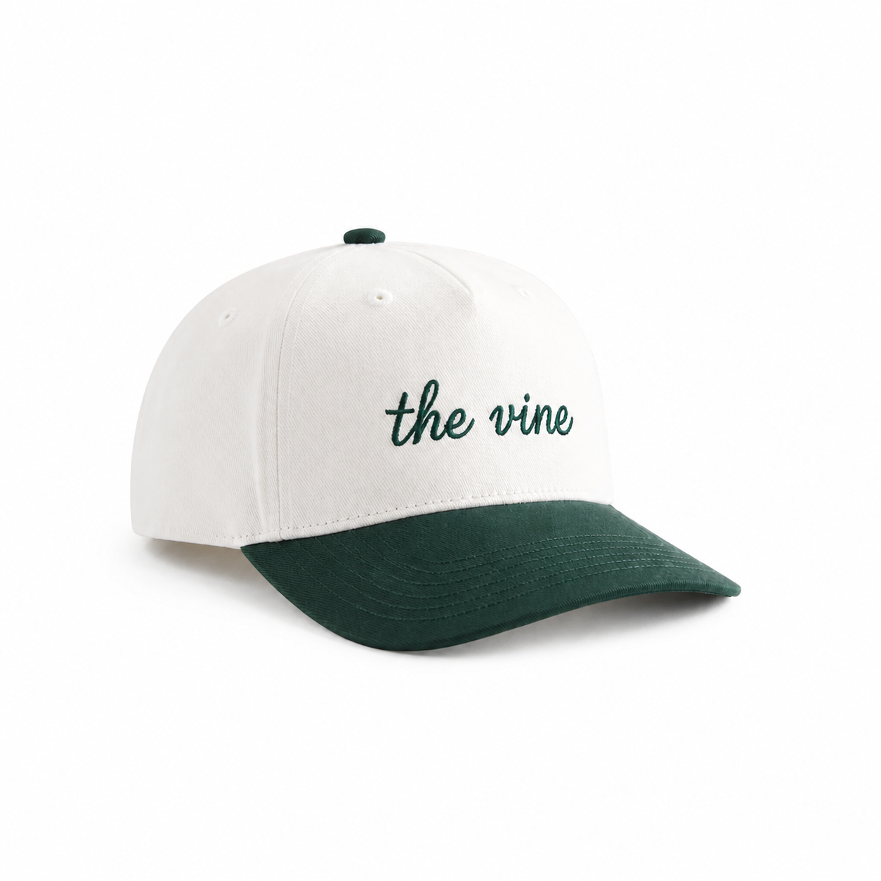 The "Vine" 2 Tone Snap Back